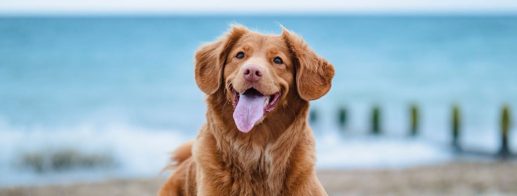 Vinyl Stickers - Image 2